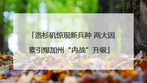 洛杉矶惊现新兵种 两大因素引爆加州“内战”升级