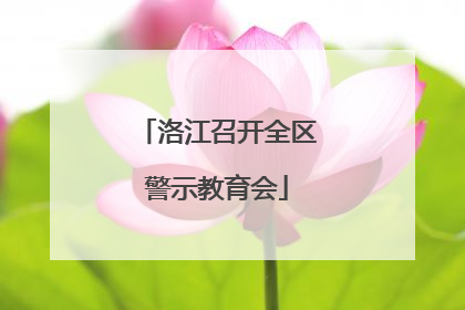 洛江召开全区警示教育会