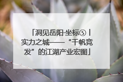 洞见岳阳·坐标⑤丨实力之城——“千帆竞发”的江湖产业宏图