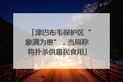 津巴布韦保护区“象满为患”，当局称将扑杀供居民食用