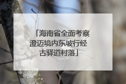 海南省全面考察澄迈境内东坡行经古驿道村落