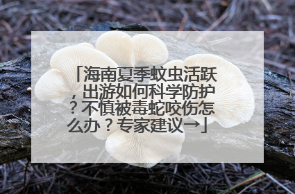 海南夏季蚊虫活跃，出游如何科学防护？不慎被毒蛇咬伤怎么办？专家建议→