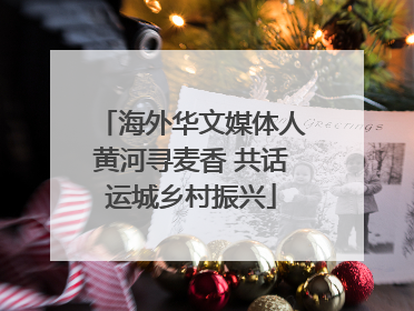 海外华文媒体人黄河寻麦香 共话运城乡村振兴