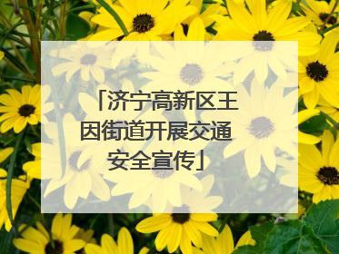 济宁高新区王因街道开展交通安全宣传