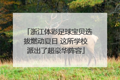 浙江体彩足球宝贝选拔燃动夏日 这所学校派出了超豪华阵容