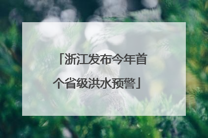 浙江发布今年首个省级洪水预警