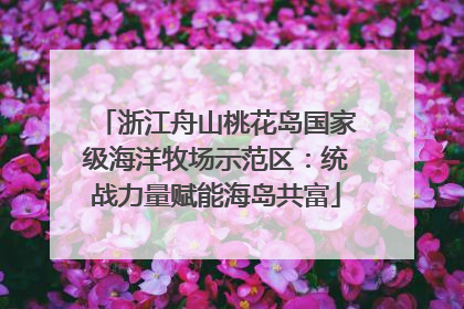 浙江舟山桃花岛国家级海洋牧场示范区：统战力量赋能海岛共富