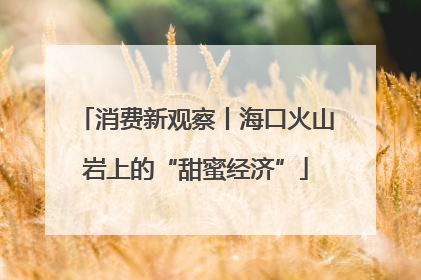消费新观察丨海口火山岩上的“甜蜜经济”