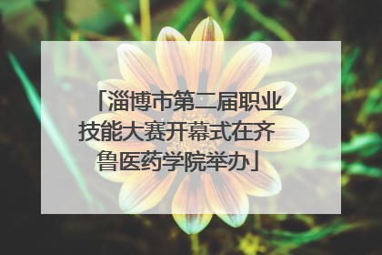 淄博市第二届职业技能大赛开幕式在齐鲁医药学院举办