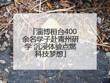 淄博桓台400余名学子赴青州研学 沉浸体验点燃科技梦想