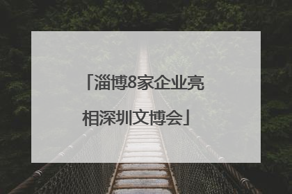 淄博8家企业亮相深圳文博会