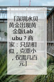 深圳水贝黄金出现黄金版Labubu？商家：只是相似，克重小，仅需几百元