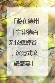 游在德州｜宁津德百杂技蟋蟀谷，沉浸式文旅盛宴