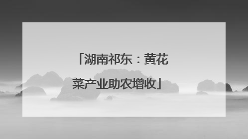 湖南祁东：黄花菜产业助农增收