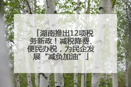 湖南推出12项税务新政！减税降费、便民办税，为民企发展“减负加油”
