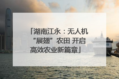 湖南江永：无人机“展翅”农田 开启高效农业新篇章