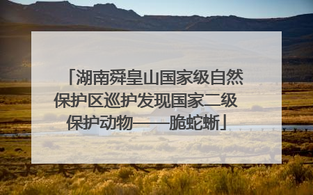 湖南舜皇山国家级自然保护区巡护发现国家二级保护动物——脆蛇蜥