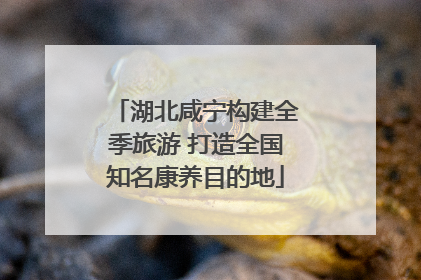 湖北咸宁构建全季旅游 打造全国知名康养目的地