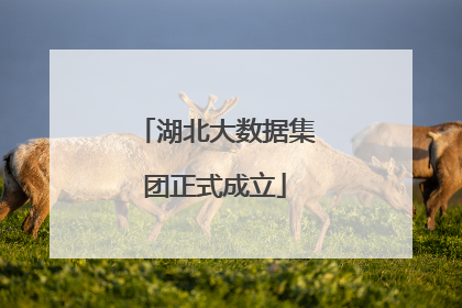 湖北大数据集团正式成立