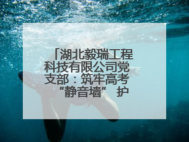 湖北毅瑞工程科技有限公司党支部：筑牢高考“静音墙” 护航学子逐梦路