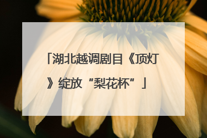 湖北越调剧目《顶灯》绽放“梨花杯”