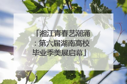 湘江青春艺潮涌：第六届湖南高校毕业季美展启幕