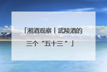 湘酒观察丨武陵酒的三个“五十三 ”