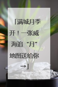 满城月季开！一张威海追“月”地图送给你→