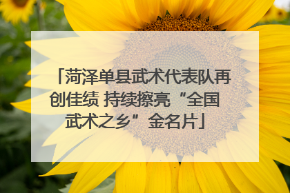 菏泽单县武术代表队再创佳绩 持续擦亮“全国武术之乡”金名片