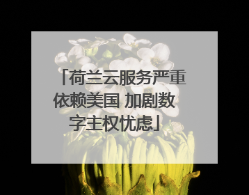 荷兰云服务严重依赖美国 加剧数字主权忧虑