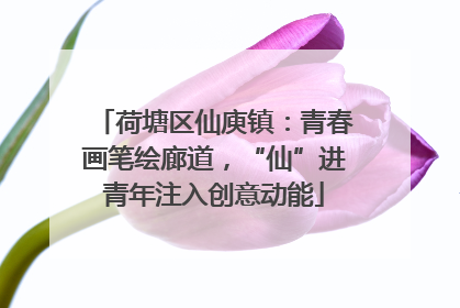 荷塘区仙庾镇：青春画笔绘廊道，“仙”进青年注入创意动能