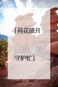 荷花盛开守护忙