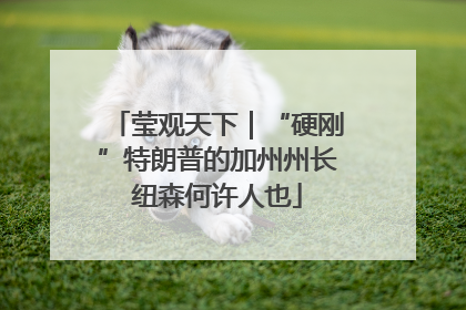 莹观天下｜“硬刚”特朗普的加州州长纽森何许人也