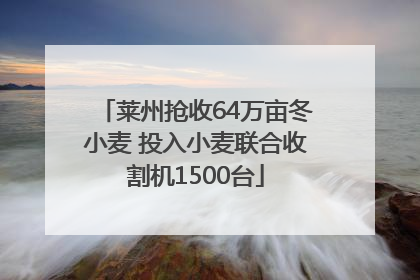 莱州抢收64万亩冬小麦 投入小麦联合收割机1500台