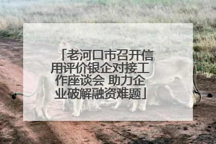 老河口市召开信用评价银企对接工作座谈会 助力企业破解融资难题