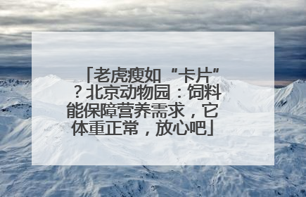 老虎瘦如“卡片”？北京动物园：饲料能保障营养需求，它体重正常，放心吧