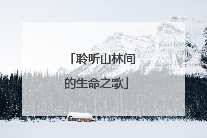聆听山林间的生命之歌
