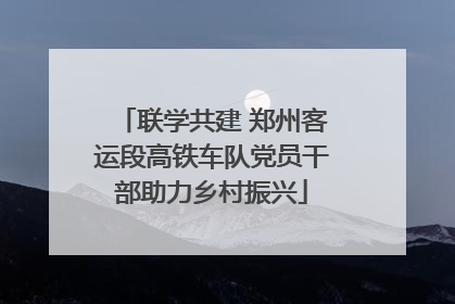 联学共建 郑州客运段高铁车队党员干部助力乡村振兴