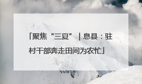 聚焦“三夏”｜息县：驻村干部奔走田间为农忙