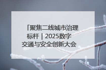 聚焦二线城市治理标杆｜2025数字交通与安全创新大会在保定隆重开幕