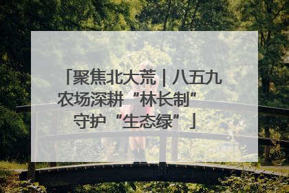 聚焦北大荒｜八五九农场深耕“林长制” 守护“生态绿”