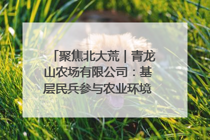 聚焦北大荒｜青龙山农场有限公司：基层民兵参与农业环境综合治理显效