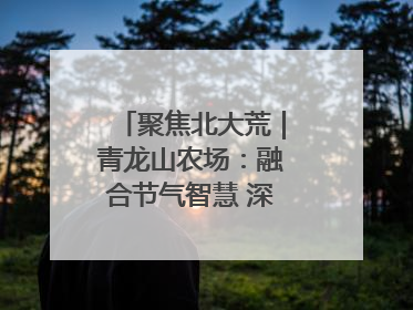 聚焦北大荒｜青龙山农场：融合节气智慧 深耕安全沃土
