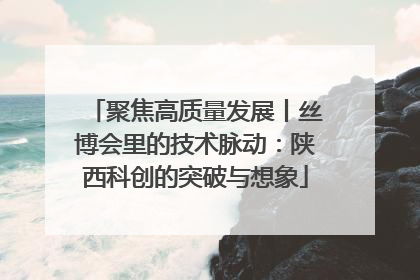 聚焦高质量发展丨丝博会里的技术脉动：陕西科创的突破与想象