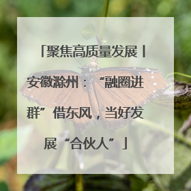聚焦高质量发展丨安徽滁州：“融圈进群”借东风，当好发展“合伙人”
