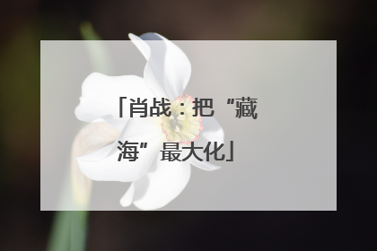 肖战：把“藏海”最大化
