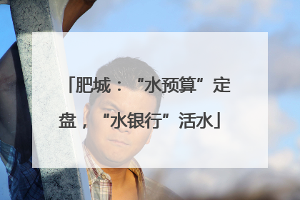 肥城：“水预算”定盘，“水银行”活水