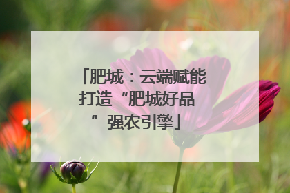 肥城：云端赋能 打造“肥城好品”强农引擎