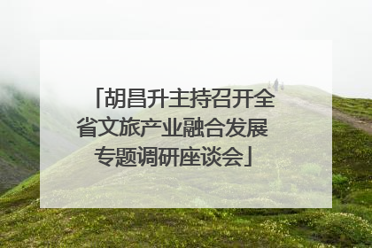 胡昌升主持召开全省文旅产业融合发展专题调研座谈会