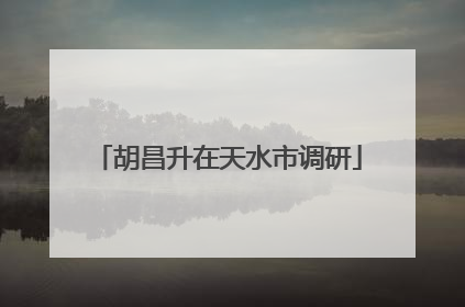 胡昌升在天水市调研